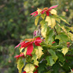 156_5614.JPG