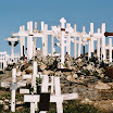 imm023.jpg