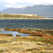 imm107.jpg