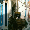 Flucke81.jpg