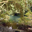 imm017-1.JPG