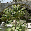 imm039-1.JPG