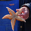 sylt-picasa_075.jpg