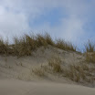 sylt-picasa_039.jpg
