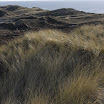 sylt-picasa_055.jpg