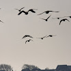 sylt-picasa_103.jpg