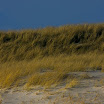 sylt-picasa_124.jpg