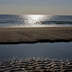 sylt-picasa_130.jpg