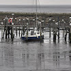sylt-picasa_212.jpg
