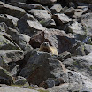 upload-suedtirol105.jpg