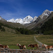 upload-suedtirol190.jpg