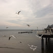 usedom08-52.jpg