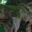 06-2009-bodensee-090.jpg