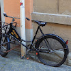 06-2009-bodensee-218.jpg