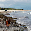 _MG_6608.JPG