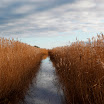 _MG_6645.JPG