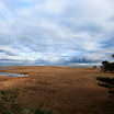 _MG_6651.JPG