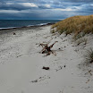 _MG_6670.JPG