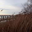 _MG_6817.JPG