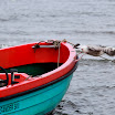 _MG_7175.JPG