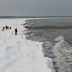 _MG_0195.jpg