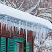 _MG_0230.jpg