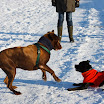 _MG_1427.jpg