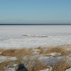 _MG_0360.jpg