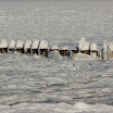 _MG_1414.jpg