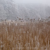 _MG_0245-Bearbeitet.jpg