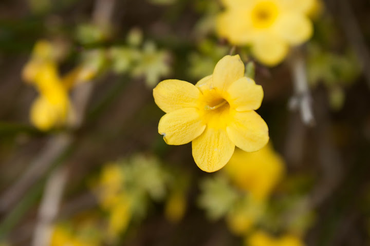 IMAGE: http://lh3.ggpht.com/_DZkpCgoYoRs/SxBL-m7s-sI/AAAAAAAABEk/048-7d6usUk/s720/IMG_0843.jpg