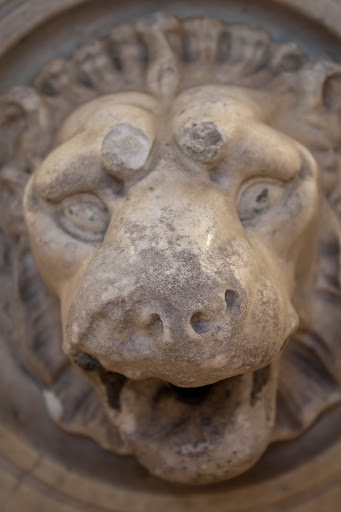 IMAGE: http://lh3.ggpht.com/_DZkpCgoYoRs/SxmRV85ue4I/AAAAAAAABYU/aBU7quvoDJA/s512/IMG_1377.jpg