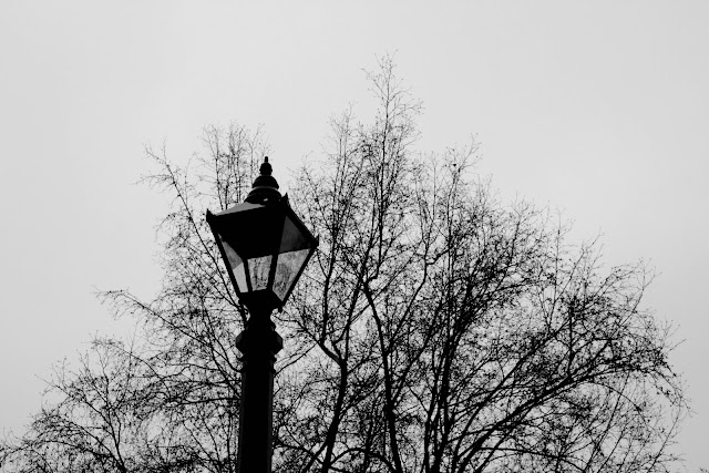 IMAGE: http://lh3.ggpht.com/_DZkpCgoYoRs/SzzJtlX8UqI/AAAAAAAADck/m-k5HXEEvmc/s640/IMG_4452.jpg