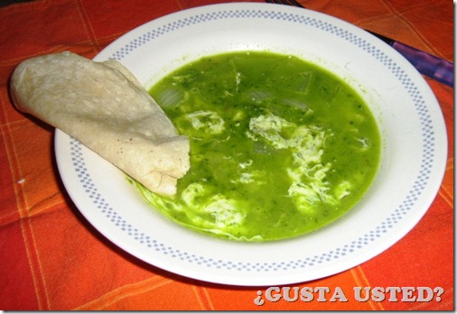 CALDILLO VERDE DE QUESO CHILE DE QUESO (1)