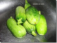 Calabacita totume Calabacita totume