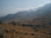 P9140055.JPG