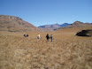 P9150090.JPG