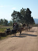 P1010986.JPG