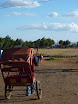 P1010439.JPG