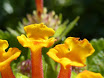 P1000677.JPG