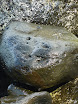 P1000647.JPG