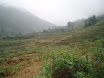 PB140071.JPG