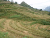 PB140092.JPG