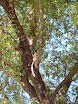 P1010514.JPG