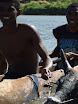 piroguiers et zebu.JPG