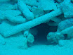 P4240156.JPG