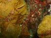 P4240157.JPG