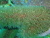 P4240165.JPG