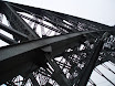 P7300124.JPG