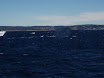 P7310016.JPG